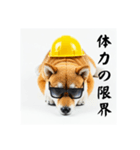 ぐでだる柴犬の現場仕事⭐(再販)（個別スタンプ：24）