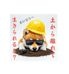 ぐでだる柴犬の現場仕事⭐(再販)（個別スタンプ：25）