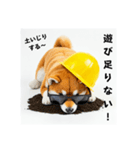 ぐでだる柴犬の現場仕事⭐(再販)（個別スタンプ：28）