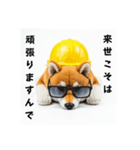 ぐでだる柴犬の現場仕事⭐(再販)（個別スタンプ：31）