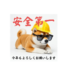 ぐでだる柴犬の現場仕事⭐(再販)（個別スタンプ：33）