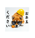 ぐでだる柴犬の現場仕事⭐(再販)（個別スタンプ：35）