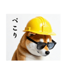 柴犬の現場仕事⭐年末年始酒まみれ(再販)（個別スタンプ：6）