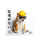 柴犬の現場仕事⭐年末年始酒まみれ(再販)（個別スタンプ：9）