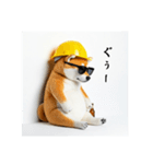 柴犬の現場仕事⭐年末年始酒まみれ(再販)（個別スタンプ：12）