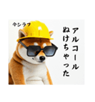 柴犬の現場仕事⭐年末年始酒まみれ(再販)（個別スタンプ：21）