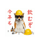柴犬の現場仕事⭐年末年始酒まみれ(再販)（個別スタンプ：26）