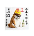柴犬の現場仕事⭐年末年始酒まみれ(再販)（個別スタンプ：27）