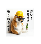 柴犬の現場仕事⭐年末年始酒まみれ(再販)（個別スタンプ：30）