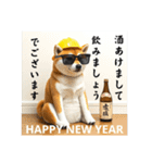 柴犬の現場仕事⭐年末年始酒まみれ(再販)（個別スタンプ：31）