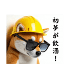 柴犬の現場仕事⭐年末年始酒まみれ(再販)（個別スタンプ：33）
