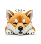 ねむねむな柴犬⭐(再販)（個別スタンプ：8）