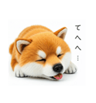 ねむねむな柴犬⭐(再販)（個別スタンプ：11）