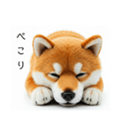 ねむねむな柴犬⭐(再販)（個別スタンプ：12）
