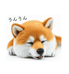 ねむねむな柴犬⭐(再販)（個別スタンプ：13）