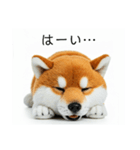 ねむねむな柴犬⭐(再販)（個別スタンプ：15）