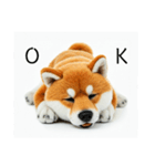 ねむねむな柴犬⭐(再販)（個別スタンプ：18）