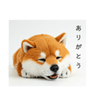 ねむねむな柴犬⭐(再販)（個別スタンプ：19）