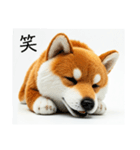 ねむねむな柴犬⭐(再販)（個別スタンプ：21）
