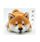 ねむねむな柴犬⭐(再販)（個別スタンプ：24）