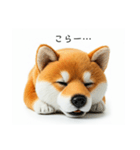ねむねむな柴犬⭐(再販)（個別スタンプ：25）