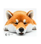 ねむねむな柴犬⭐(再販)（個別スタンプ：27）
