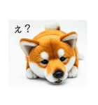 ねむねむな柴犬⭐(再販)（個別スタンプ：29）