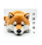 ねむねむな柴犬⭐(再販)（個別スタンプ：31）