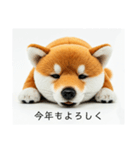 ねむねむな柴犬⭐(再販)（個別スタンプ：35）