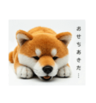 ねむねむな柴犬⭐(再販)（個別スタンプ：39）