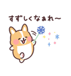 まるまるコーギーの夏休み（個別スタンプ：25）