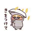 まるまるコーギーの夏休み（個別スタンプ：30）