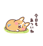 まるまるコーギーの夏休み（個別スタンプ：36）