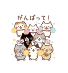 Fuku Fuku Nyanko Sticker7（個別スタンプ：16）