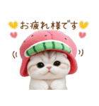 可愛いスイカ帽ネコ 使える状況＆日常 敬語（個別スタンプ：10）