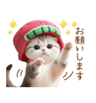 可愛いスイカ帽ネコ 使える状況＆日常 敬語（個別スタンプ：12）