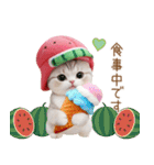 可愛いスイカ帽ネコ 使える状況＆日常 敬語（個別スタンプ：19）