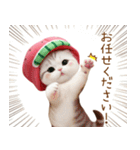 可愛いスイカ帽ネコ 使える状況＆日常 敬語（個別スタンプ：23）