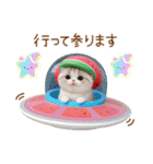 可愛いスイカ帽ネコ 使える状況＆日常 敬語（個別スタンプ：25）