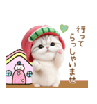 可愛いスイカ帽ネコ 使える状況＆日常 敬語（個別スタンプ：26）