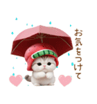 可愛いスイカ帽ネコ 使える状況＆日常 敬語（個別スタンプ：27）