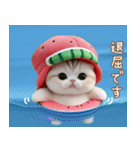 可愛いスイカ帽ネコ 使える状況＆日常 敬語（個別スタンプ：29）