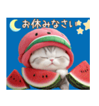 可愛いスイカ帽ネコ 使える状況＆日常 敬語（個別スタンプ：32）