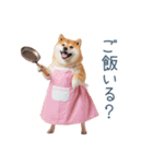 実写の母しば犬【連絡・家族】（個別スタンプ：1）