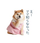 実写の母しば犬【連絡・家族】（個別スタンプ：9）
