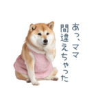 実写の母しば犬【連絡・家族】（個別スタンプ：17）