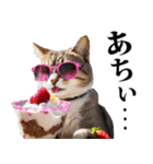 夏☆にゃんこ（個別スタンプ：2）