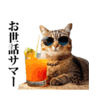 夏☆にゃんこ（個別スタンプ：5）