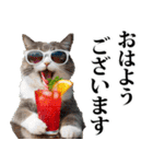 夏☆にゃんこ（個別スタンプ：17）