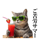 夏☆にゃんこ（個別スタンプ：19）